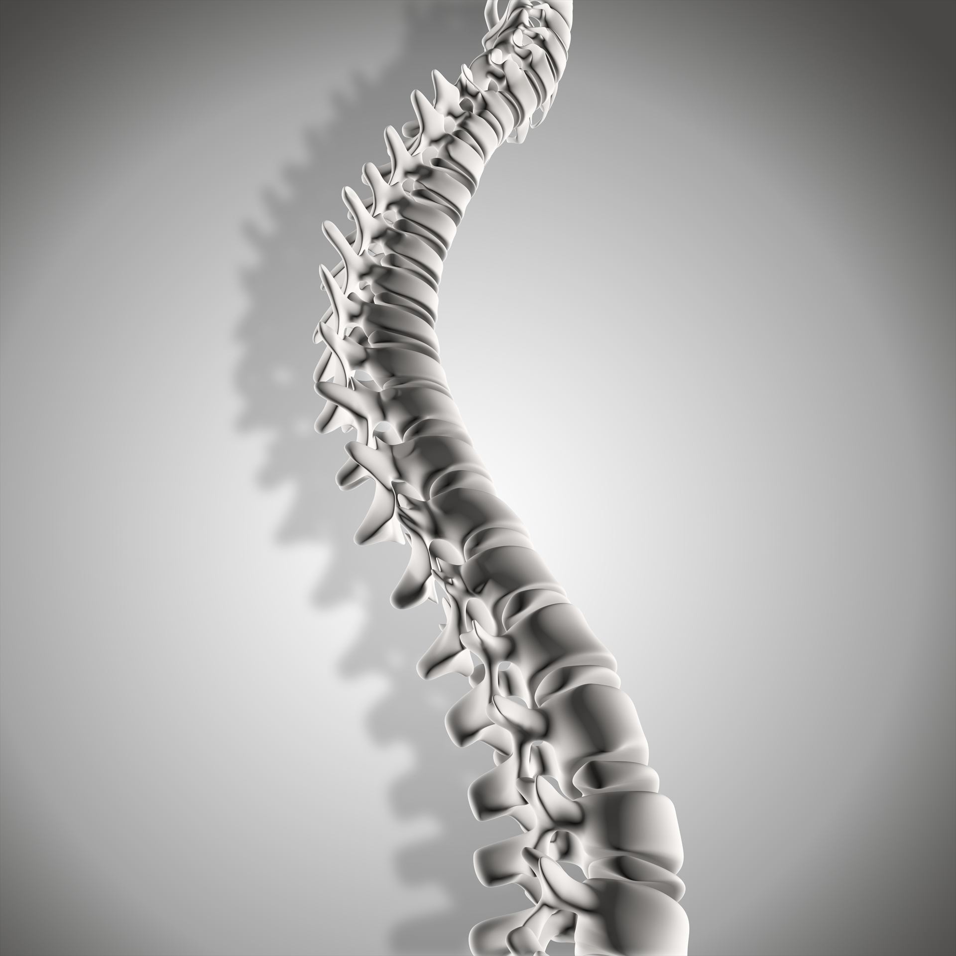 Chiropraktische Behandlung Phasen