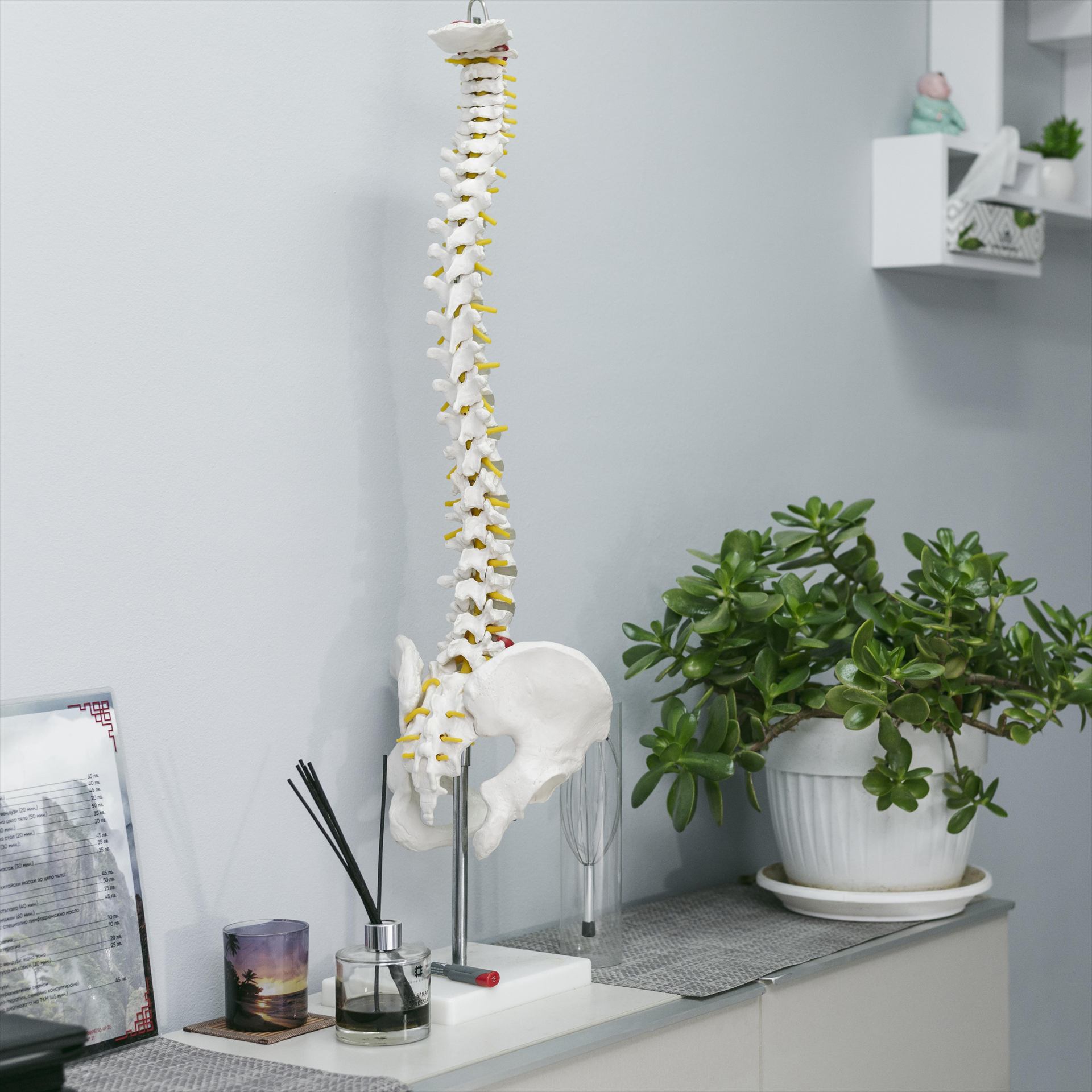 Behandlungsraum der Chiropraktik Klaus Hillmann